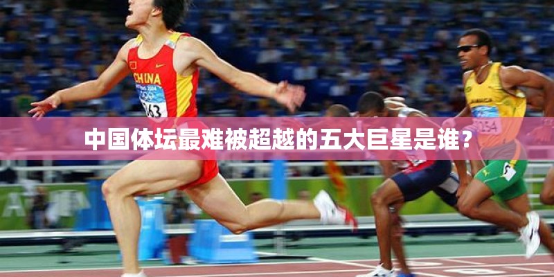 太阳花怎么养护？