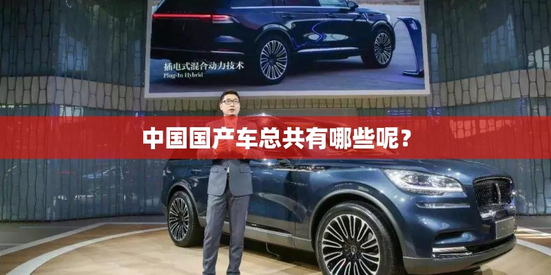 中国国产车总共有哪些呢？