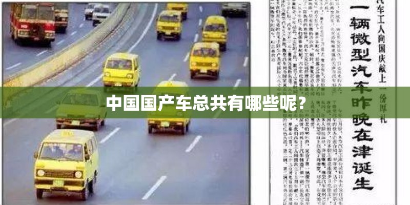 中国国产车总共有哪些呢？