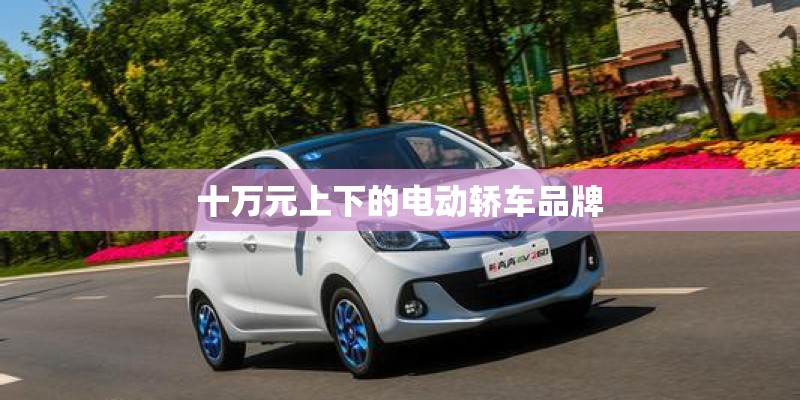 十万元上下的电动轿车品牌