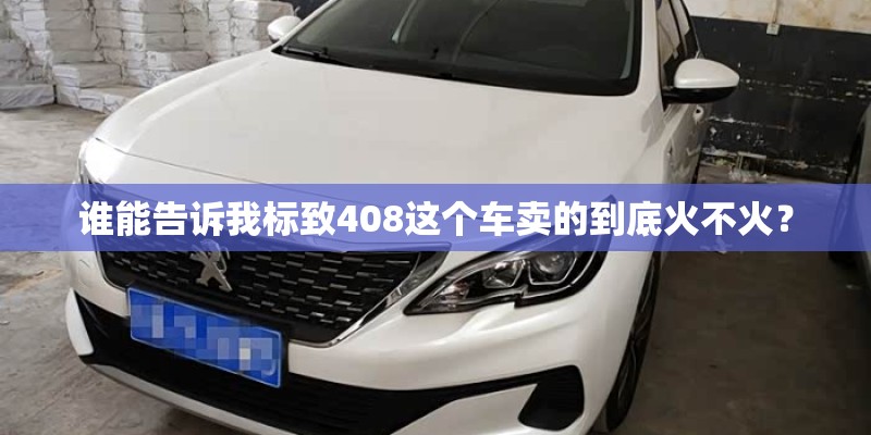 谁能告诉我标致408这个车卖的到底火不火？