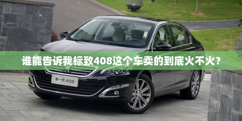 谁能告诉我标致408这个车卖的到底火不火？