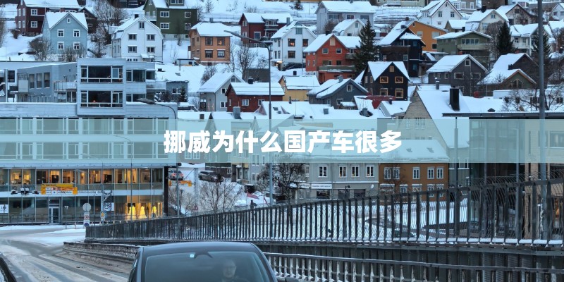 挪威为什么国产车很多