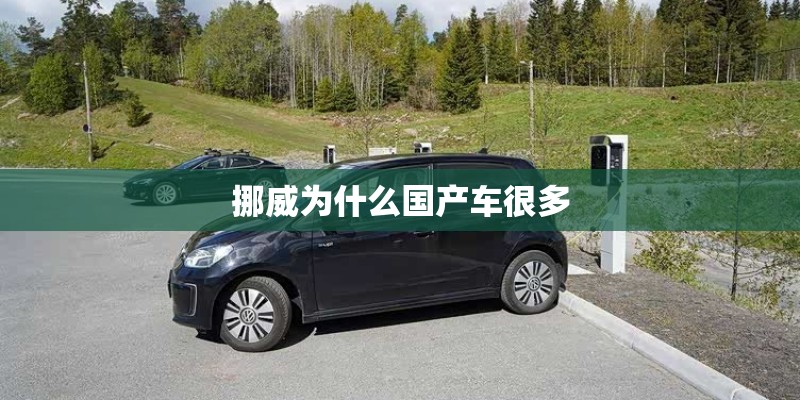 挪威为什么国产车很多 挪威为什么国产车很多