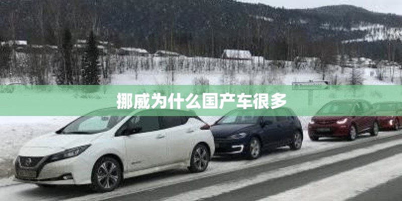 挪威为什么国产车很多 挪威为什么国产车很多