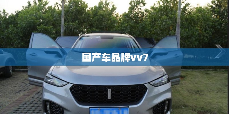 国产车品牌vv7