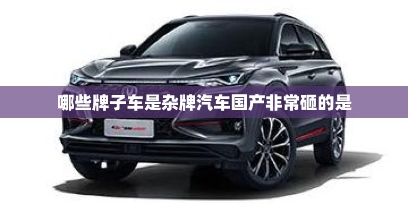 哪些牌子车是杂牌汽车国产非常砸的是