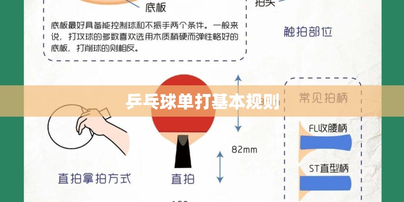 乒乓球单打基本规则