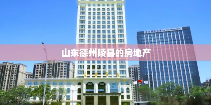 山东德州陵县的房地产