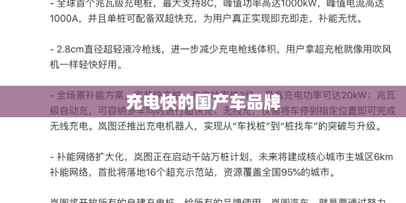 充电快的国产车品牌