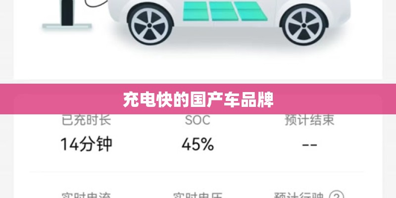 充电快的国产车品牌