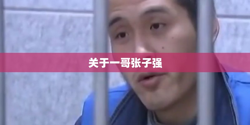 关于一哥张子强