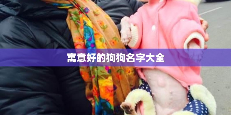 寓意好的狗狗名字大全