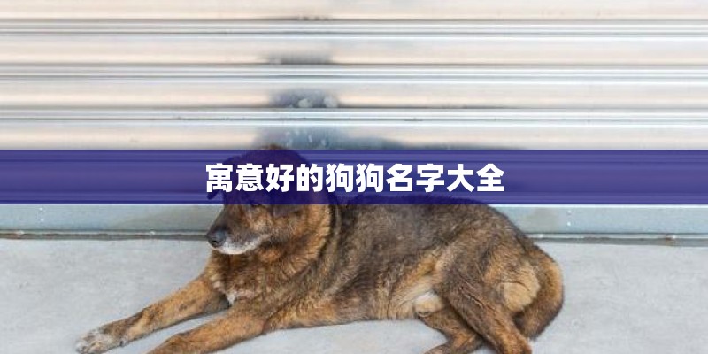 寓意好的狗狗名字大全