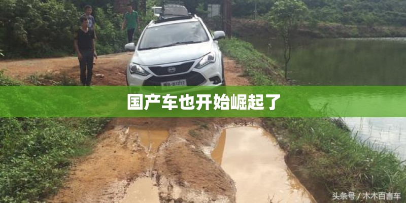 国产车也开始崛起了