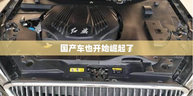 国产车也开始崛起了
