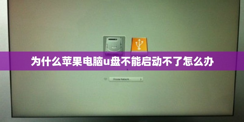为什么苹果电脑u盘不能启动不了怎么办