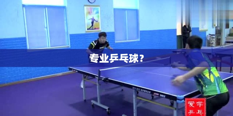 专业乒乓球？
