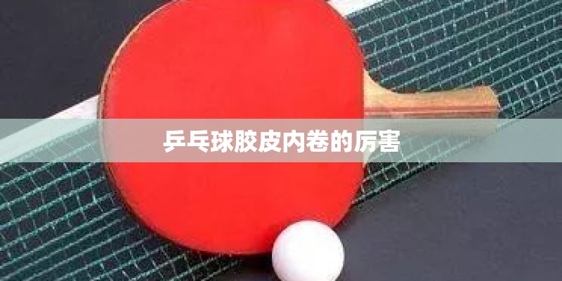 乒乓球胶皮内卷的厉害