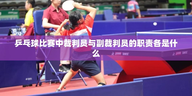 乒乓球比赛中裁判员与副裁判员的职责各是什么