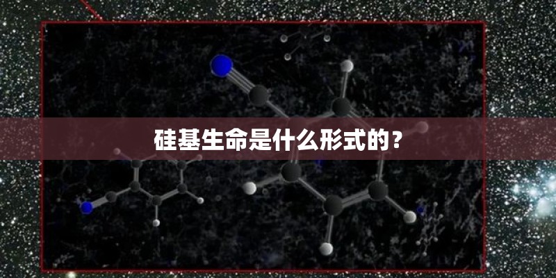 硅基生命是什么形式的？