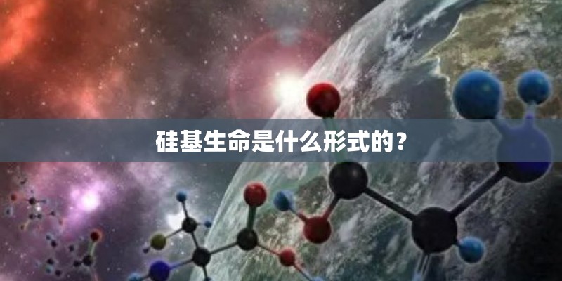 硅基生命是什么形式的？