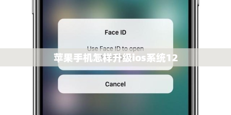 苹果手机怎样升级ios系统12