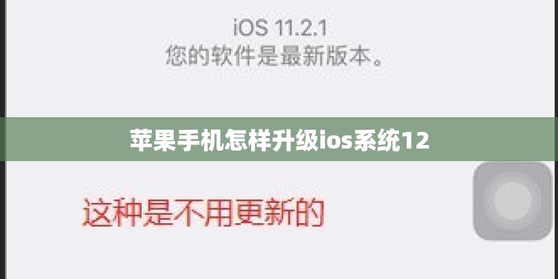 苹果手机怎样升级ios系统12