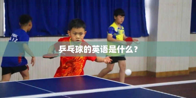 乒乓球的英语是什么？
