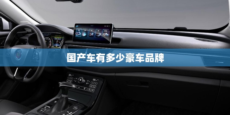 国产车有多少豪车品牌