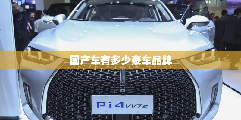 国产车有多少豪车品牌