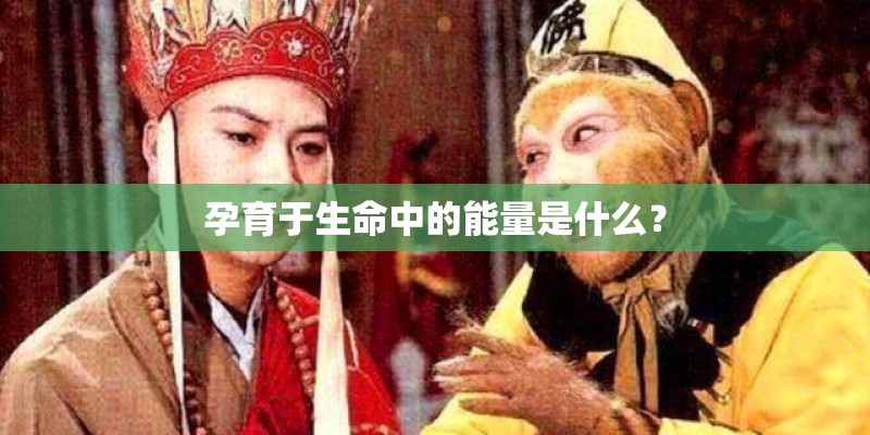 孕育于生命中的能量是什么？