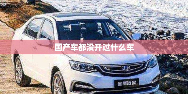 国产车都没开过什么车