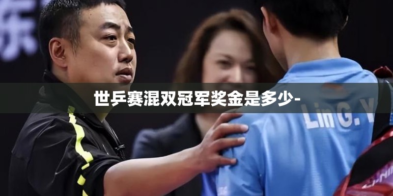 世乒赛混双冠军奖金是多少-