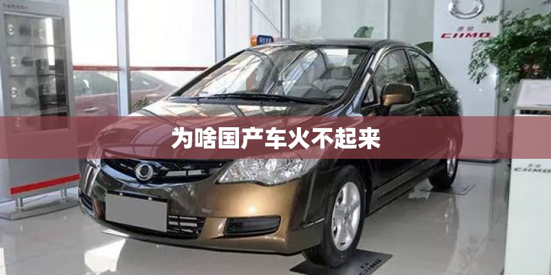 为啥国产车火不起来