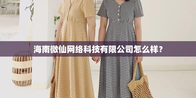 海南微仙网络科技有限公司怎么样？