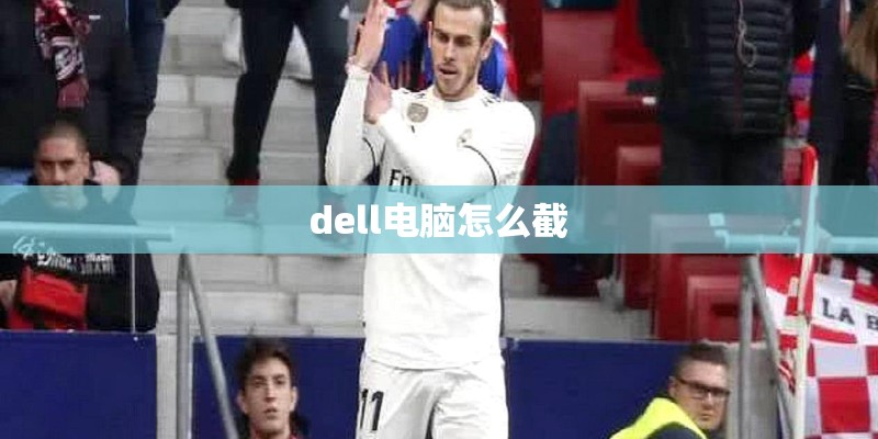 dell电脑怎么截