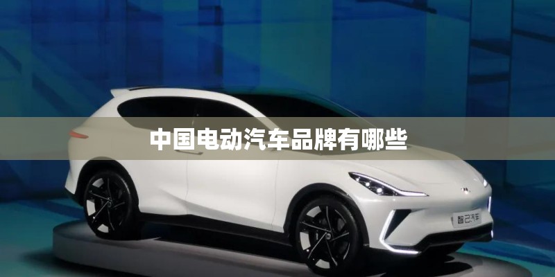 中国电动汽车品牌有哪些