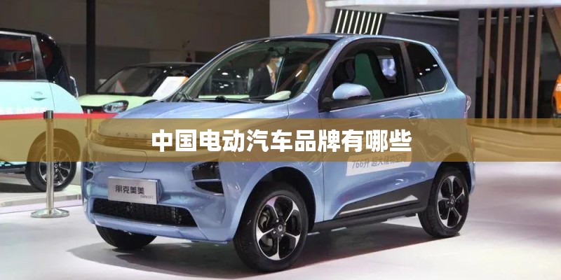 中国电动汽车品牌有哪些