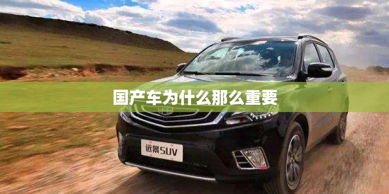 国产车为什么那么重要
