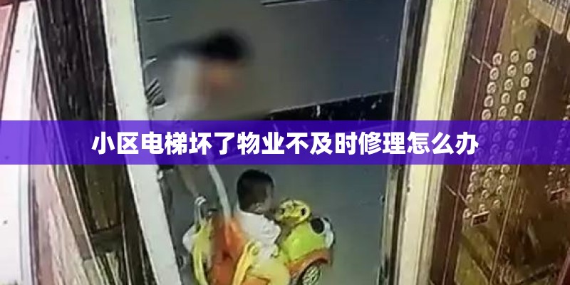 小区电梯坏了物业不及时修理怎么办