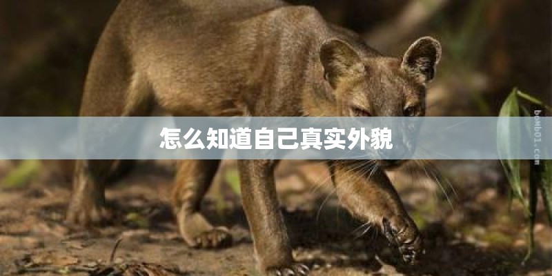 怎么知道自己真实外貌