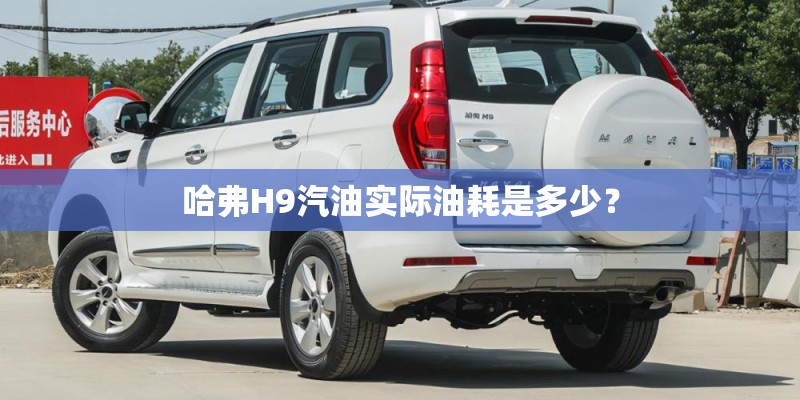 哈弗H9汽油实际油耗是多少？