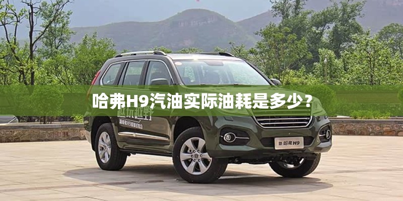 哈弗H9汽油实际油耗是多少？