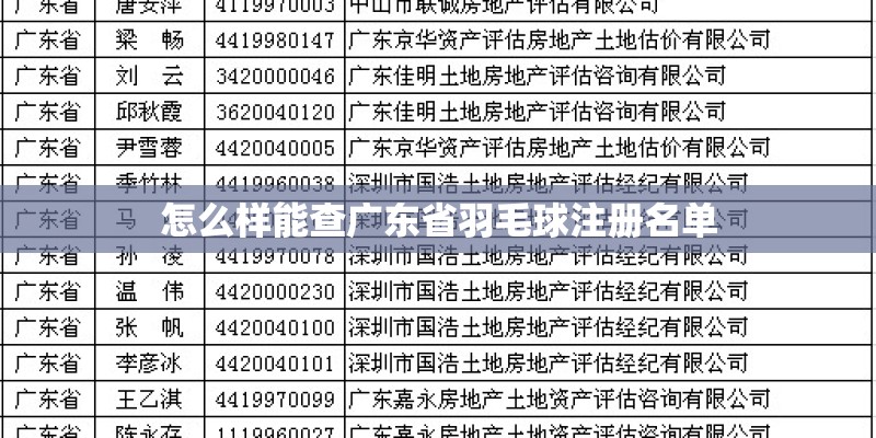 怎么样能查广东省羽毛球注册名单