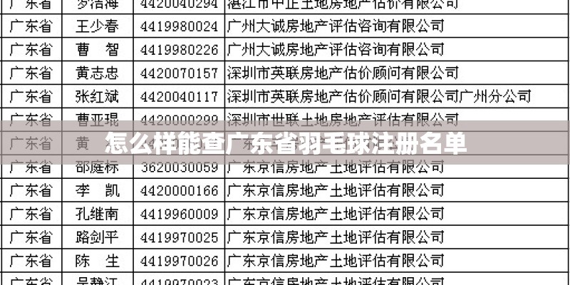 怎么样能查广东省羽毛球注册名单