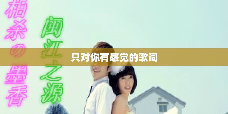 只对你有感觉的歌词
