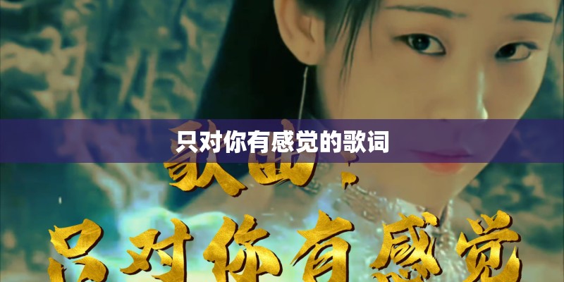 只对你有感觉的歌词