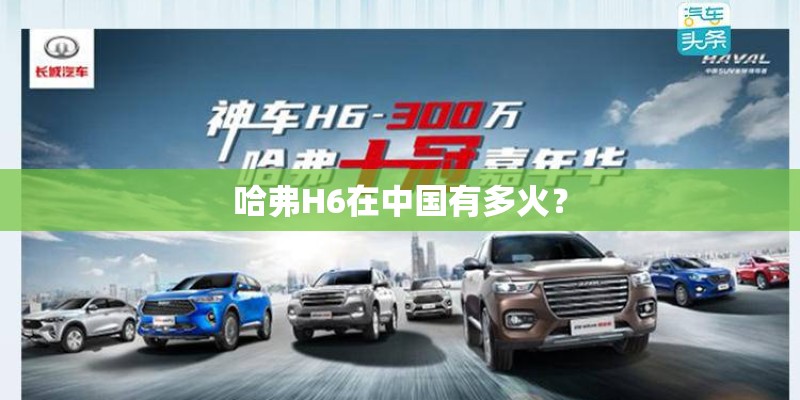 哈弗H6在中国有多火？