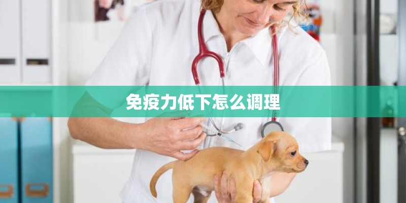 免疫力低下怎么调理